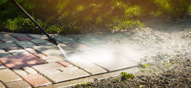 Animal Enclosure Cleaning in Lykens, PA